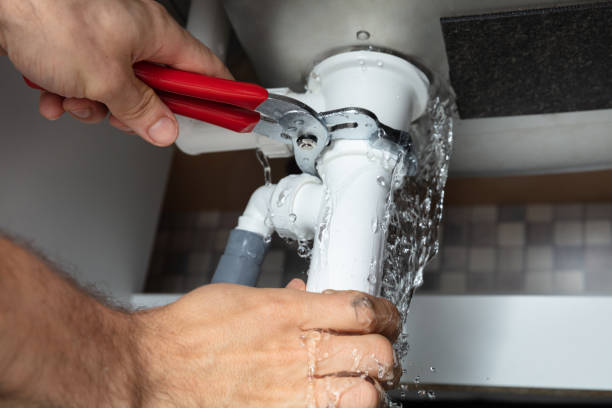 Best Local water damage restoration  in Winchester, NV