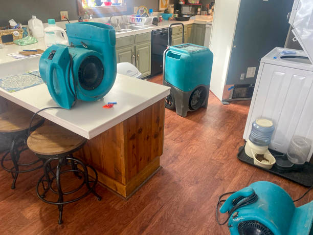 Best Local water damage restoration  in Winchester, NV