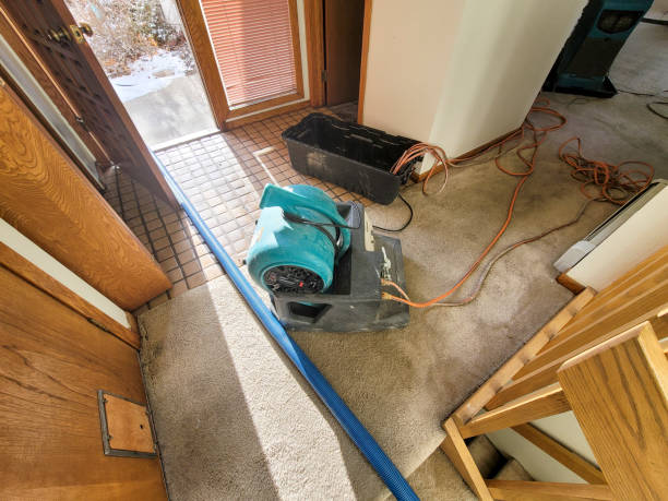 Best Sewage cleanup and water damage restoration  in Winchester, NV