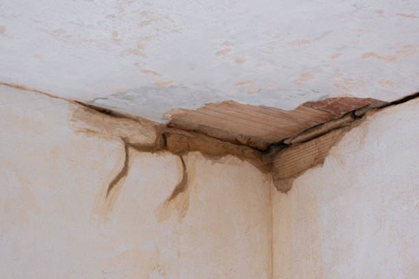 Best 24-hour water damage restoration  in Winchester, NV