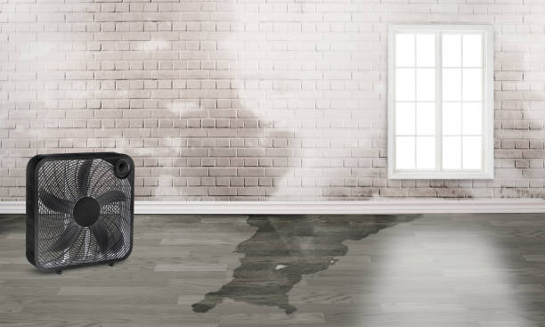 Professional Water damage restoration in NV